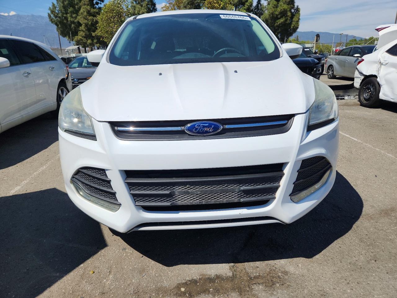 2014 Ford Escape Se White vin: 1FMCU0GX9EUD32356