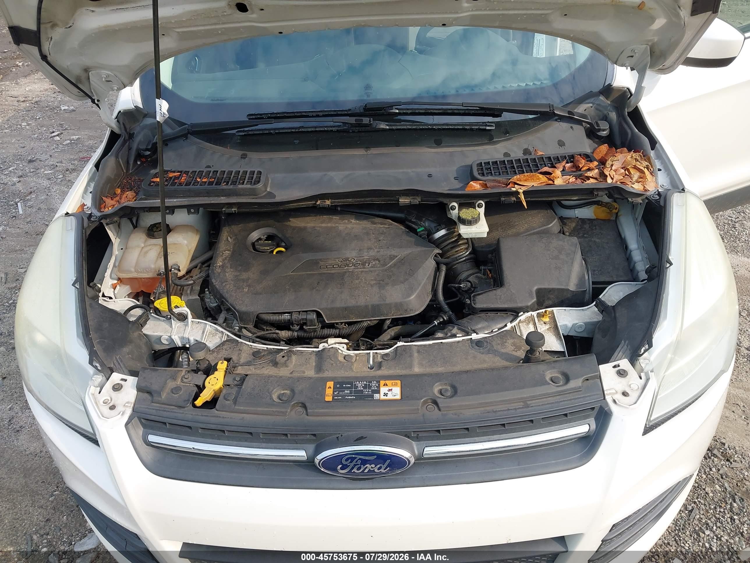2014 Ford Escape Se White vin: 1FMCU0GX9EUE20372