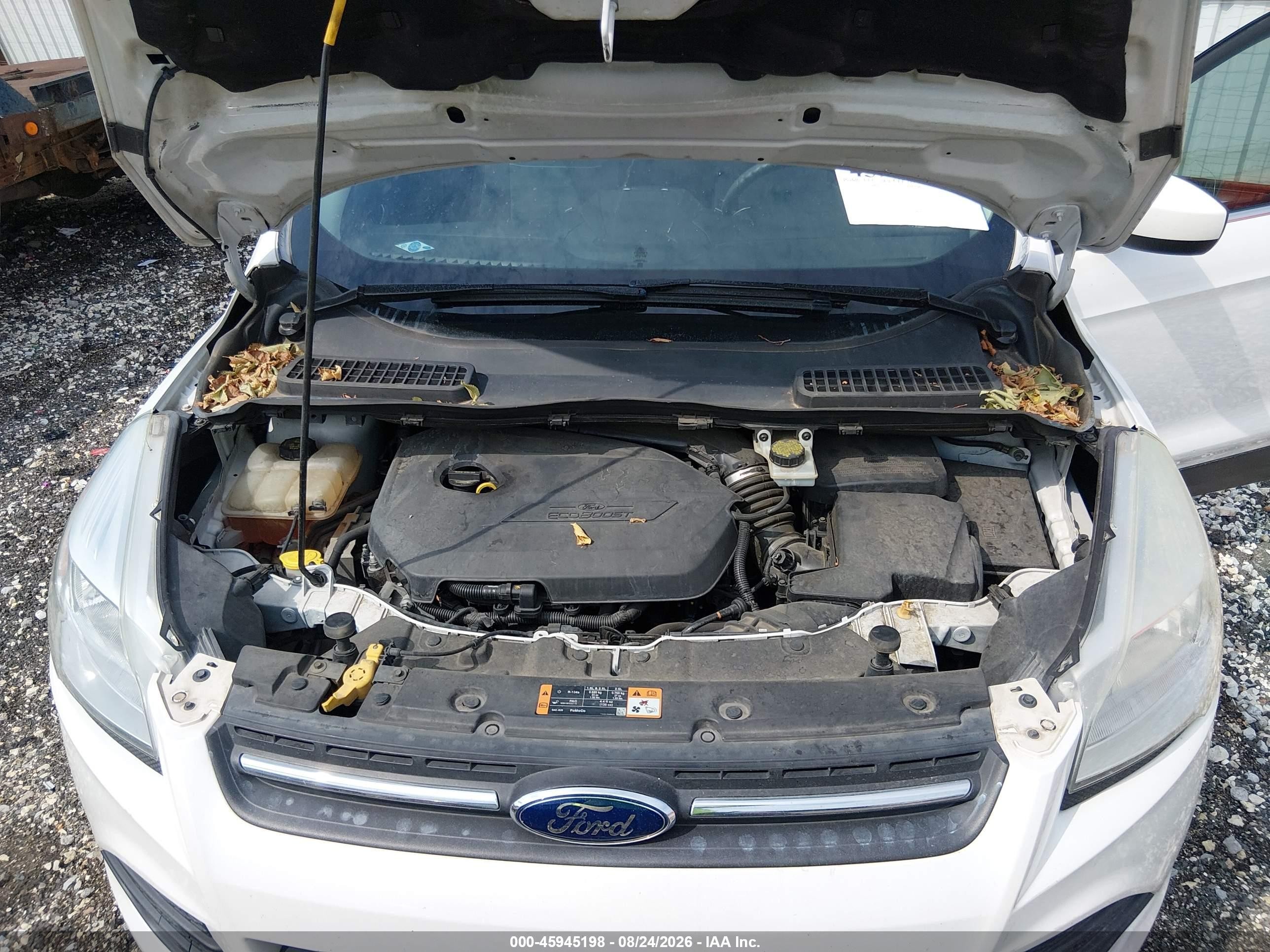 2015 Ford Escape Se White vin: 1FMCU0GX9FUA07417