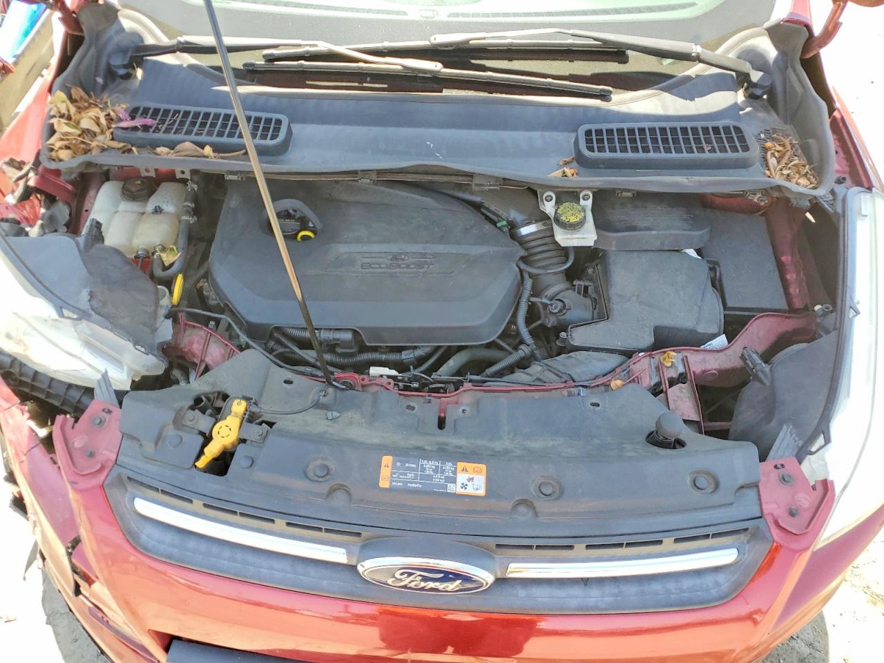 2014 Ford Escape Se Red vin: 1FMCU0GXXEUA07022