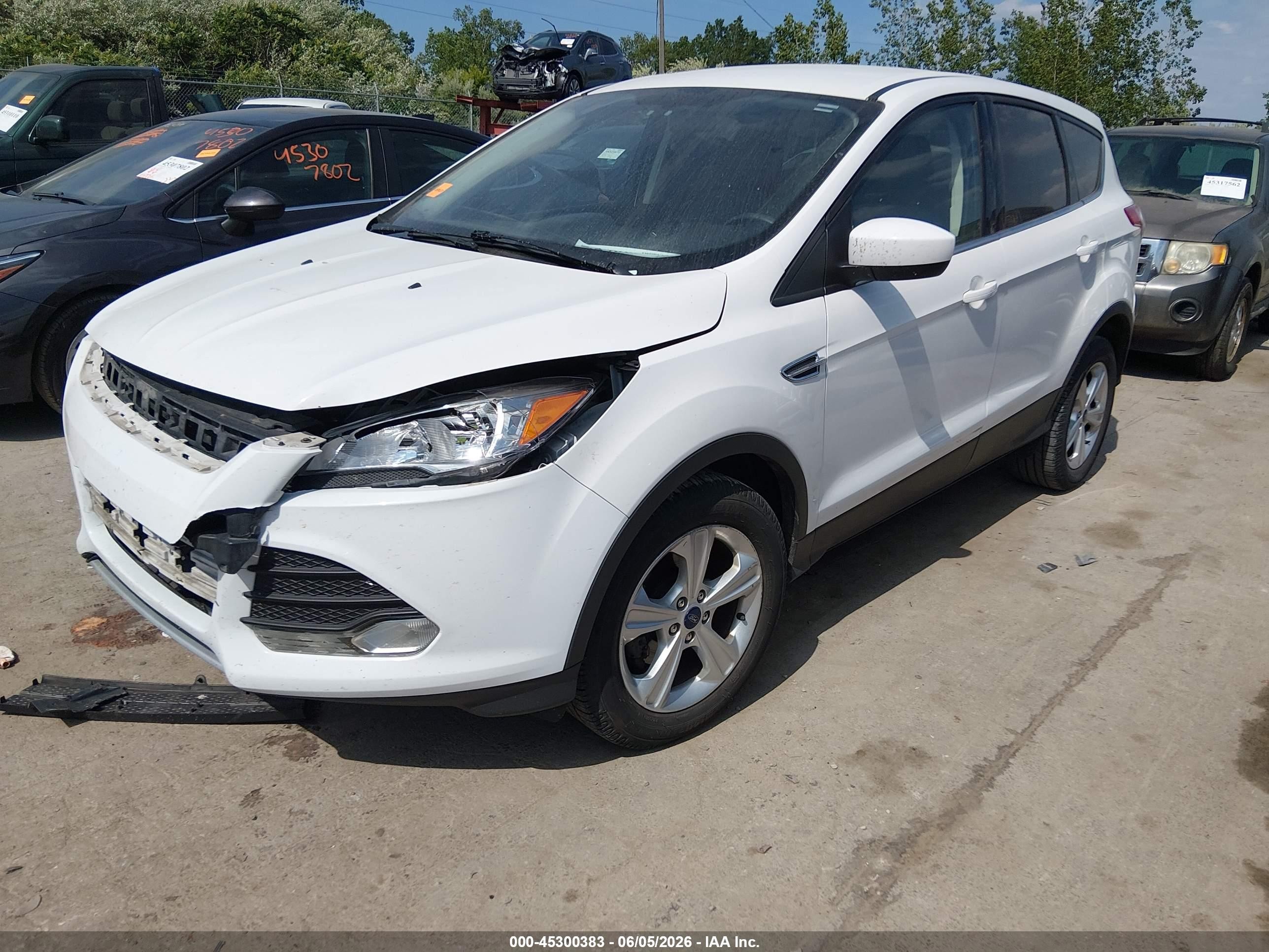 2014 Ford Escape Se White vin: 1FMCU0GXXEUD71702