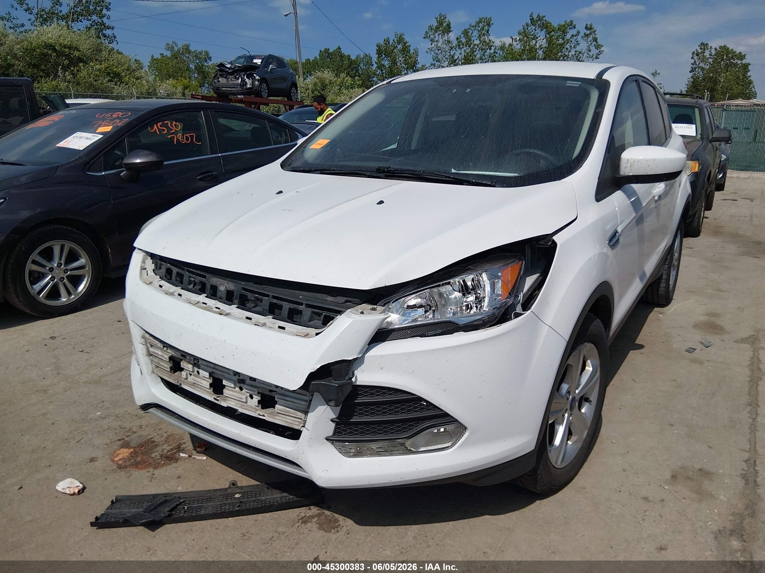 2014 Ford Escape Se White vin: 1FMCU0GXXEUD71702