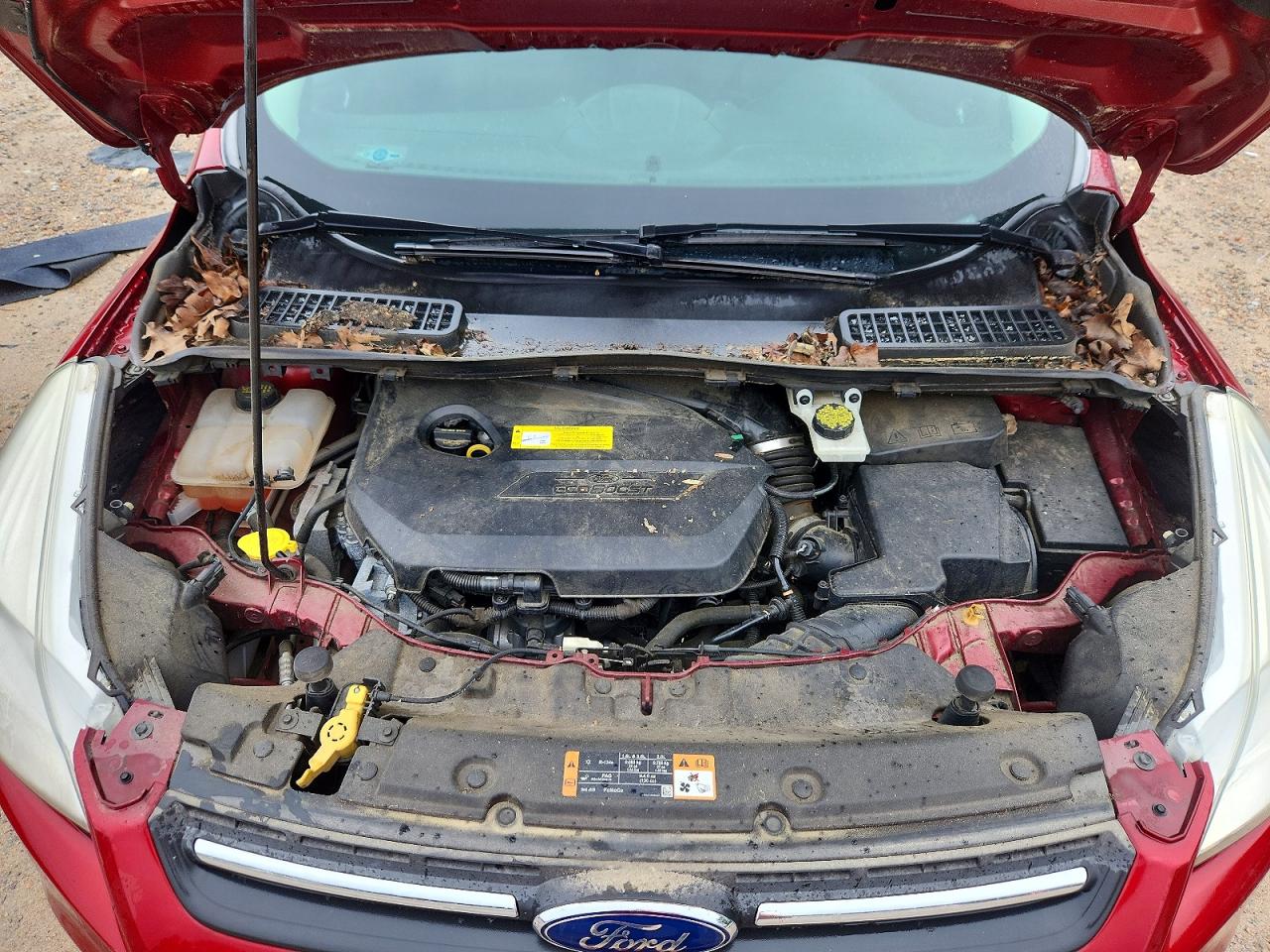 2015 Ford Escape Se Red vin: 1FMCU0GXXFUC23616