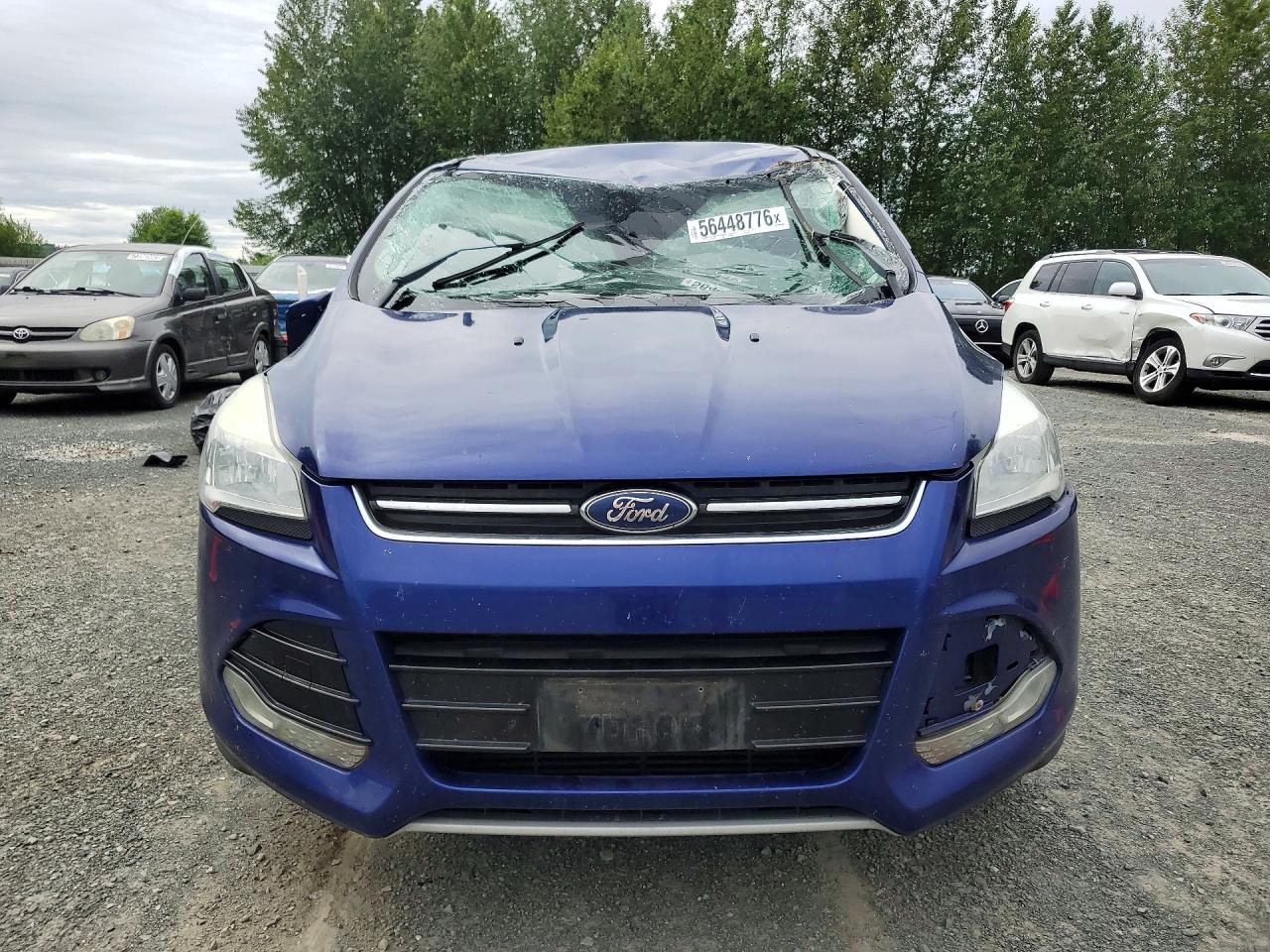 2013 Ford Escape Sel Blue vin: 1FMCU0H90DUC55875