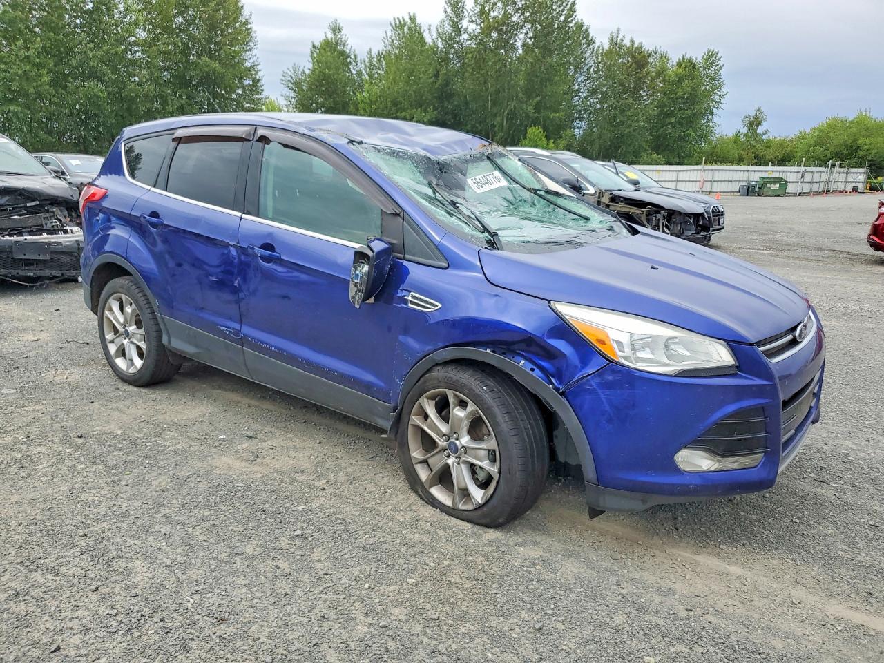 2013 Ford Escape Sel Blue vin: 1FMCU0H90DUC55875