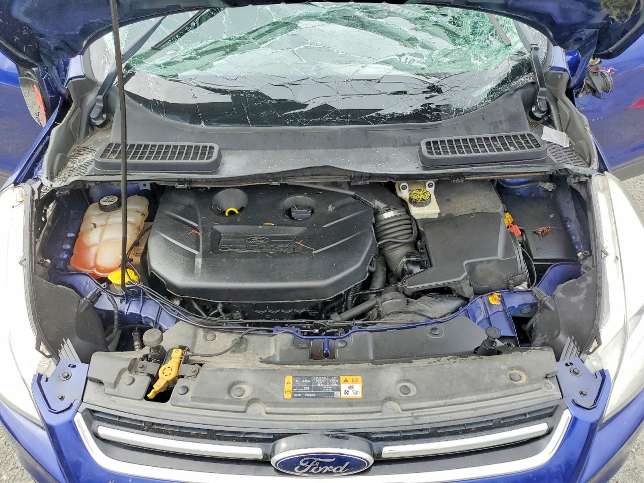 2013 Ford Escape Sel Blue vin: 1FMCU0H90DUC55875