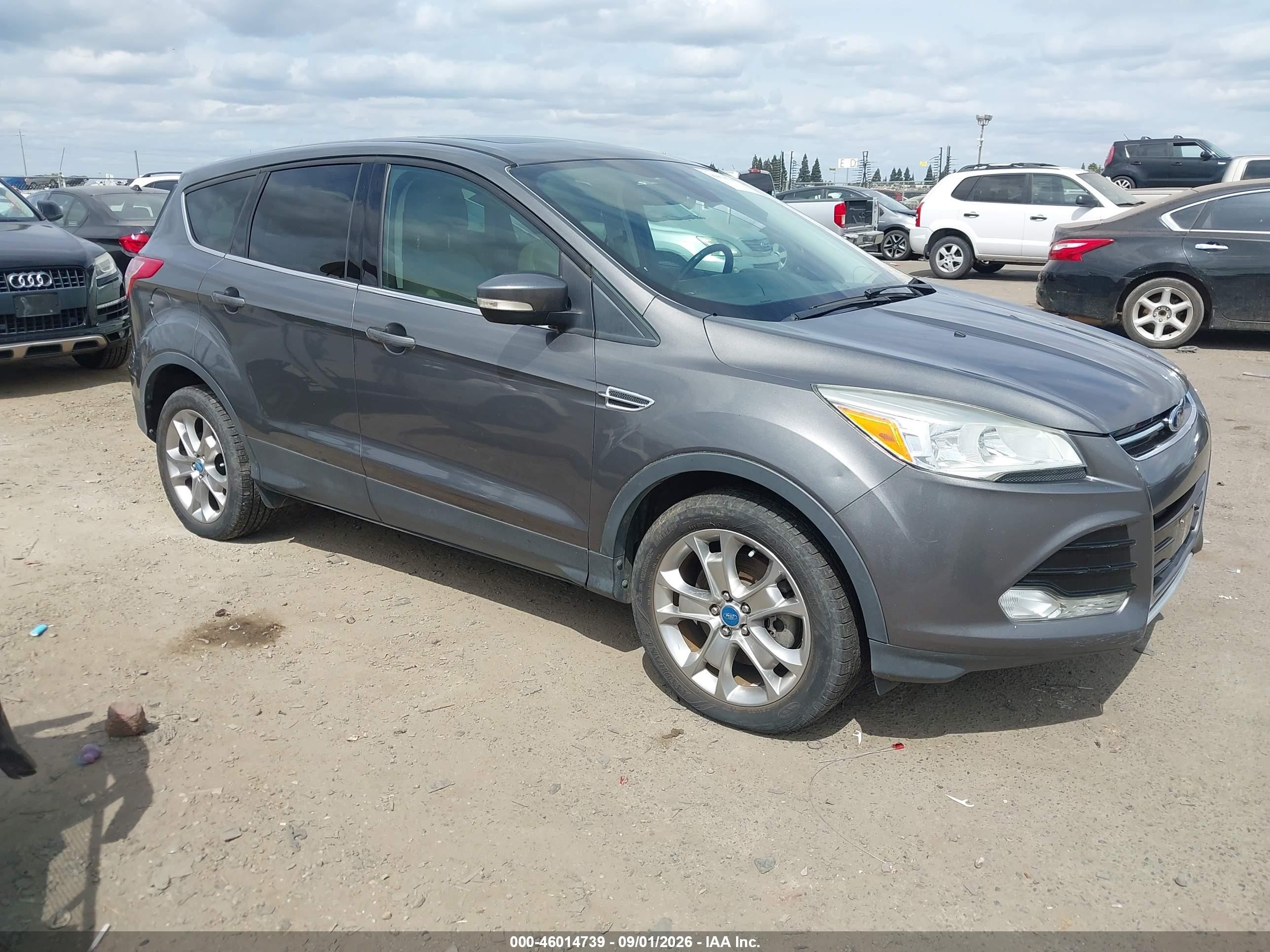 2013 Ford Escape Sel Gray vin: 1FMCU0H91DUB23899
