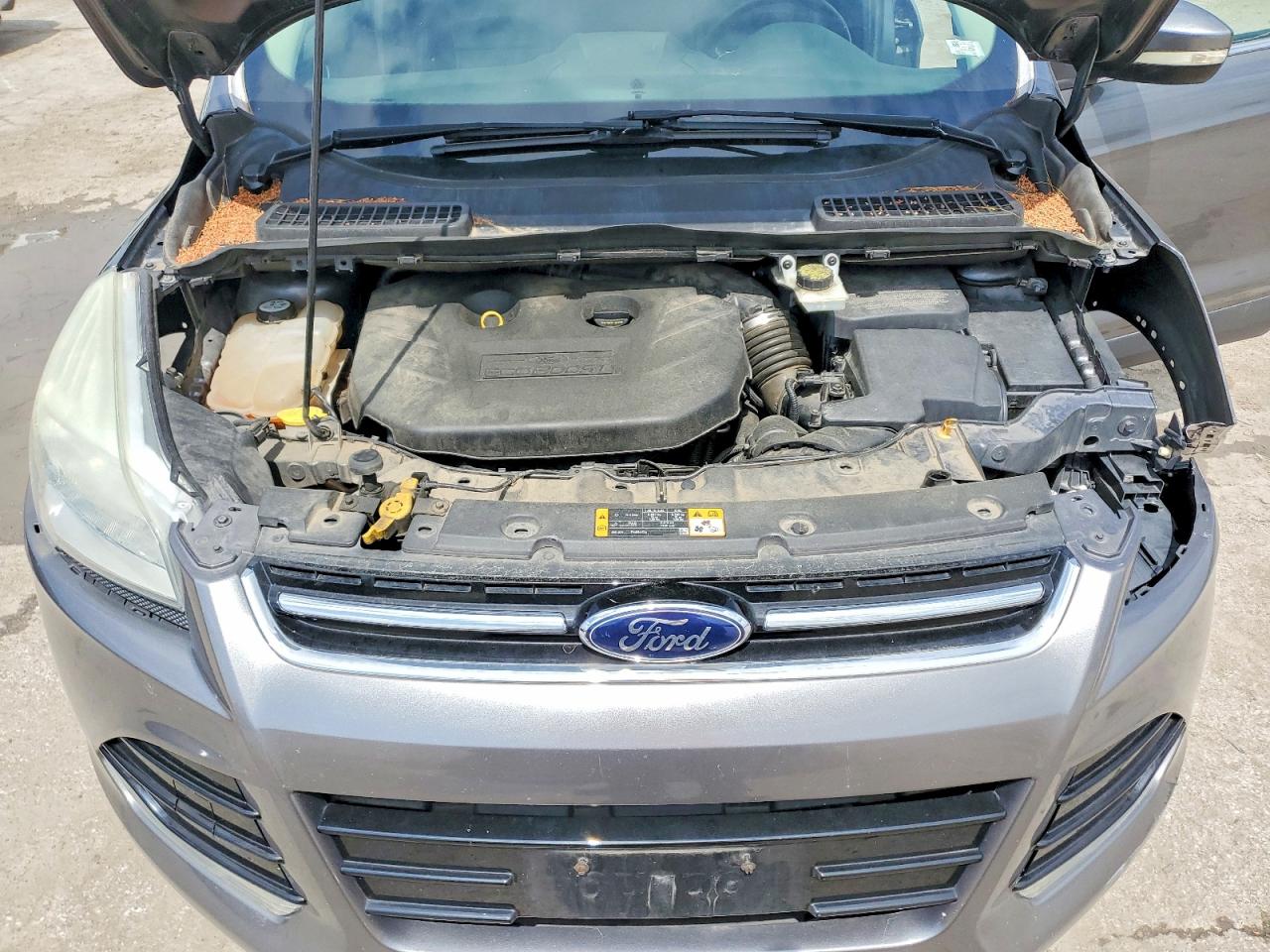 2013 Ford Escape Sel Gray vin: 1FMCU0H91DUC56808