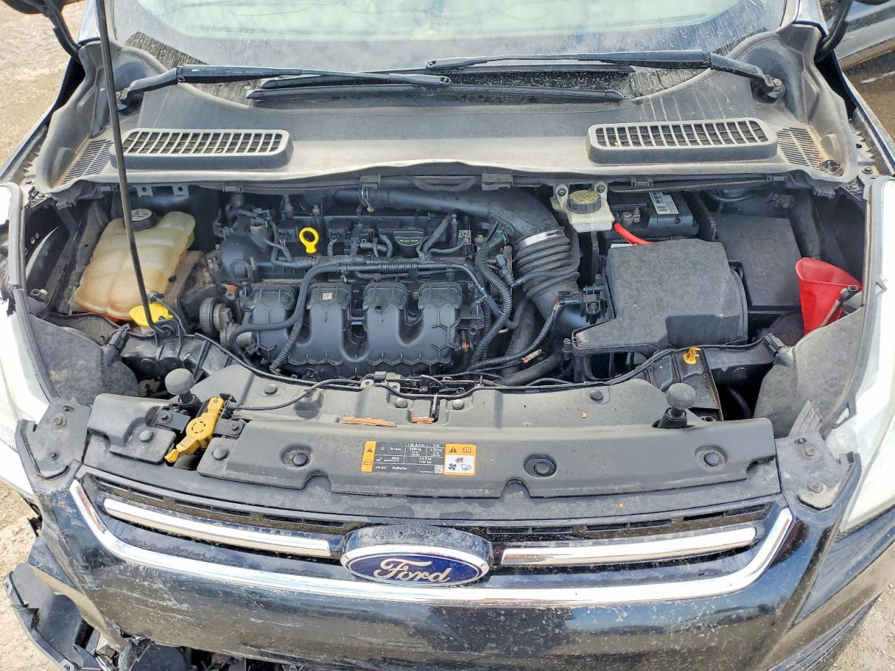 2013 Ford Escape Sel Black vin: 1FMCU0H91DUD03108