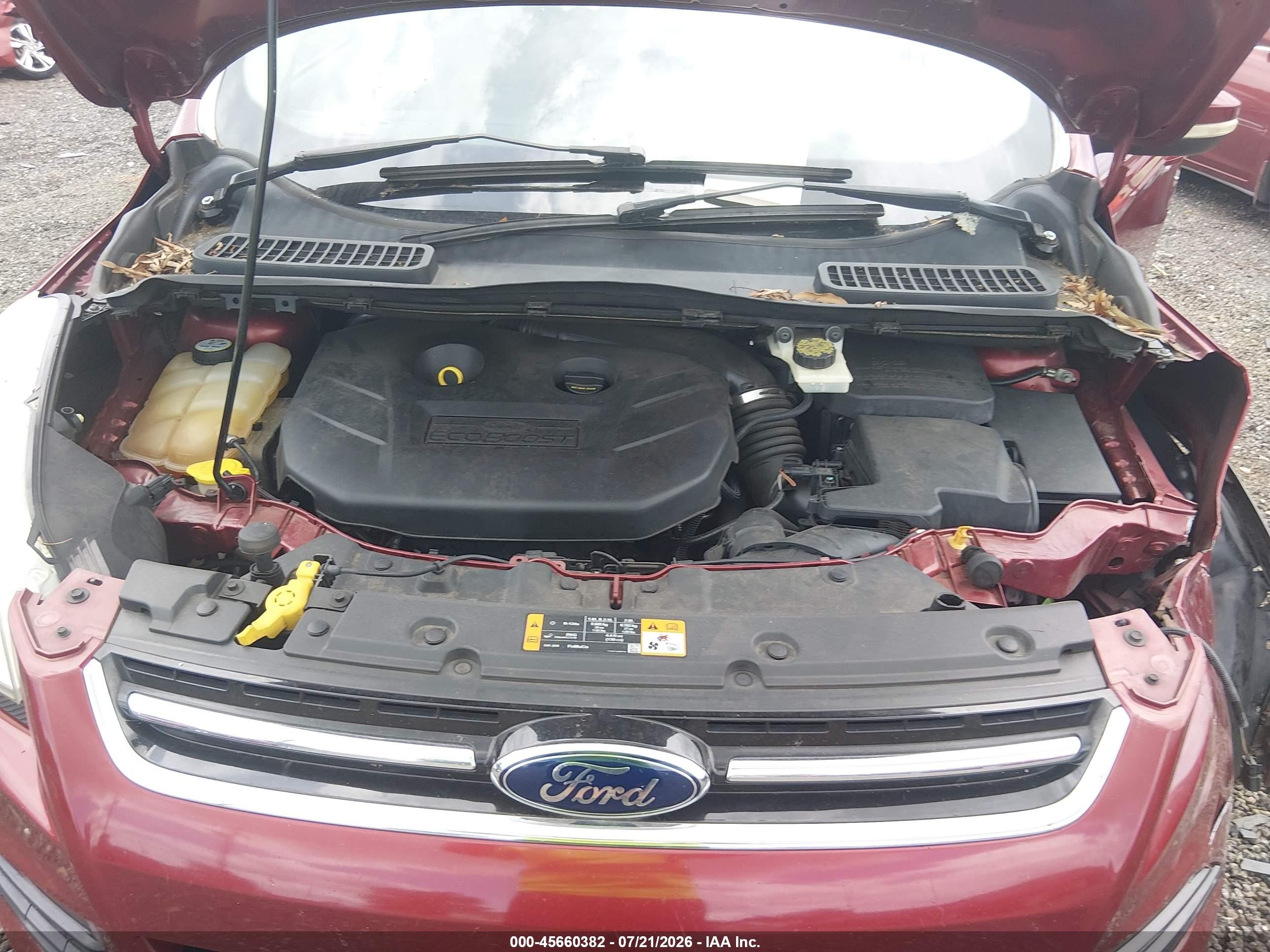 2013 Ford Escape Sel Red vin: 1FMCU0H91DUD75619