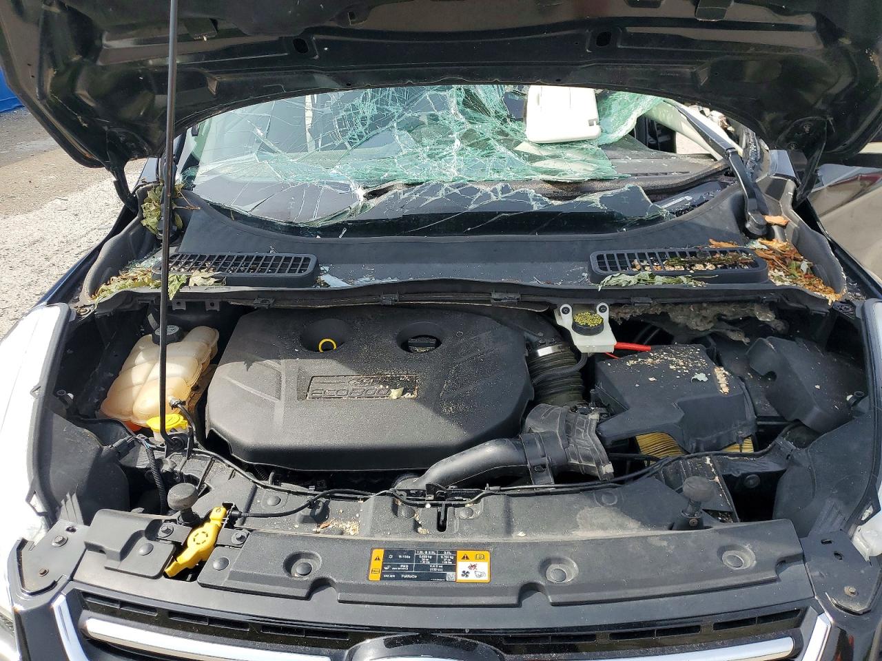 2013 Ford Escape Sel Black vin: 1FMCU0H92DUD36070