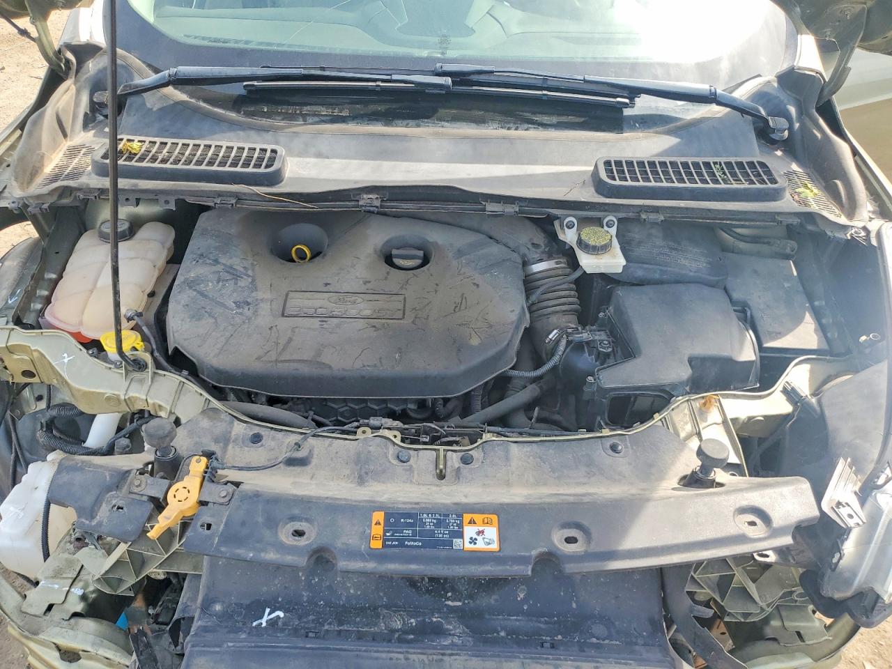 2013 Ford Escape Sel Green vin: 1FMCU0H93DUB38422
