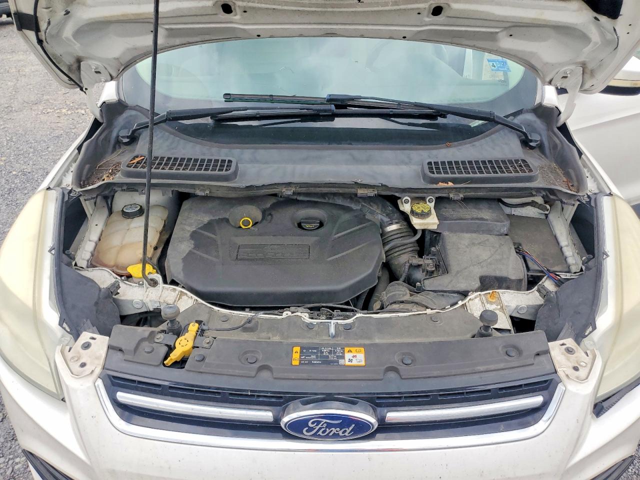 2013 Ford Escape Sel White vin: 1FMCU0H93DUB91315