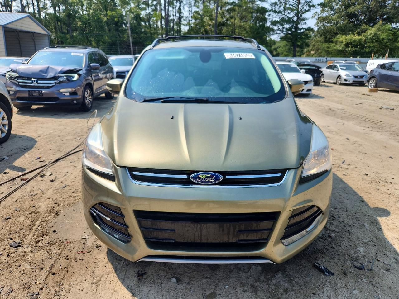 2013 Ford Escape Sel Green vin: 1FMCU0H93DUD31895