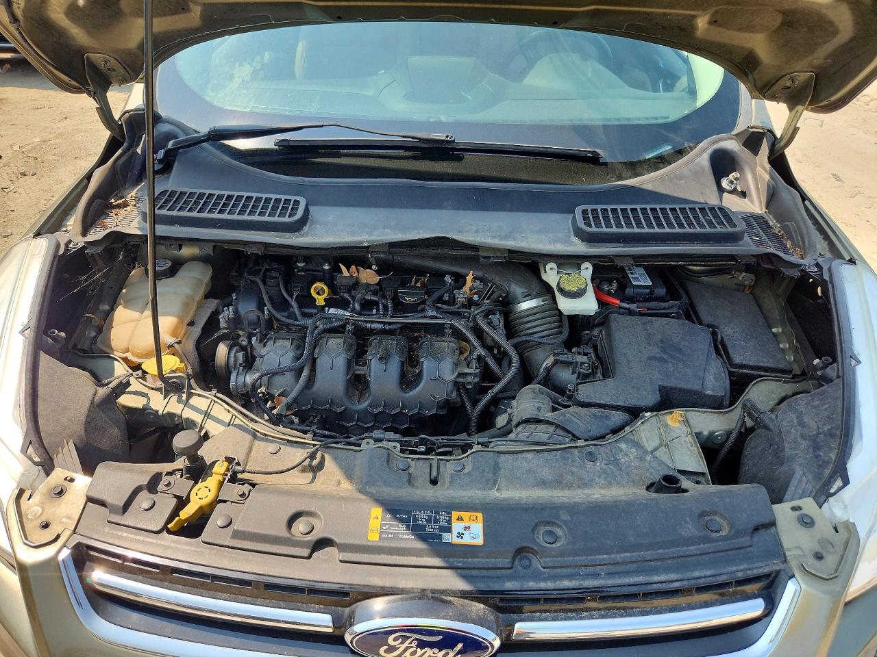 2013 Ford Escape Sel Green vin: 1FMCU0H93DUD31895
