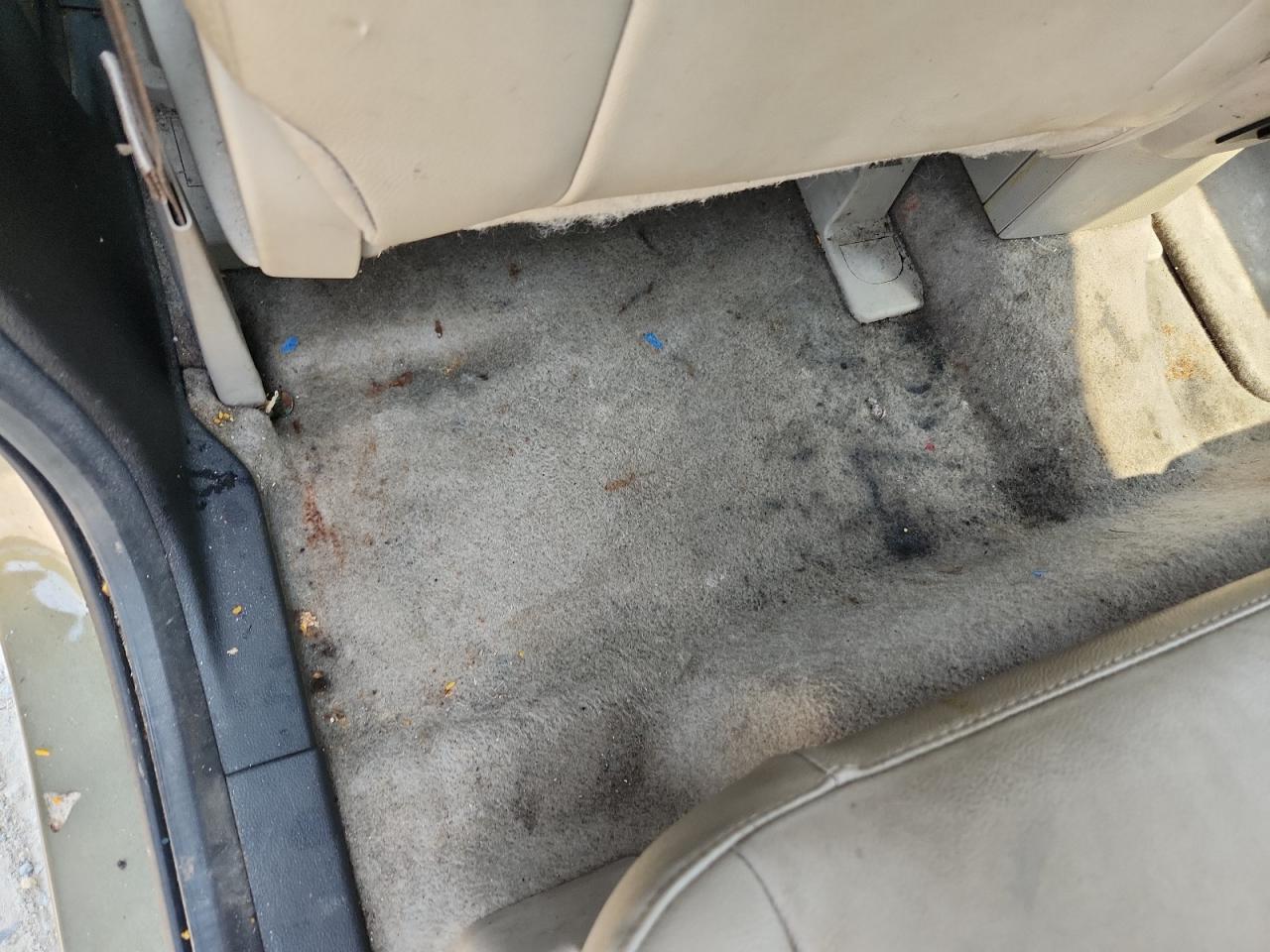 2013 Ford Escape Sel Green vin: 1FMCU0H93DUD31895 Damage: Left Rear Carpet, Stained, Permanent