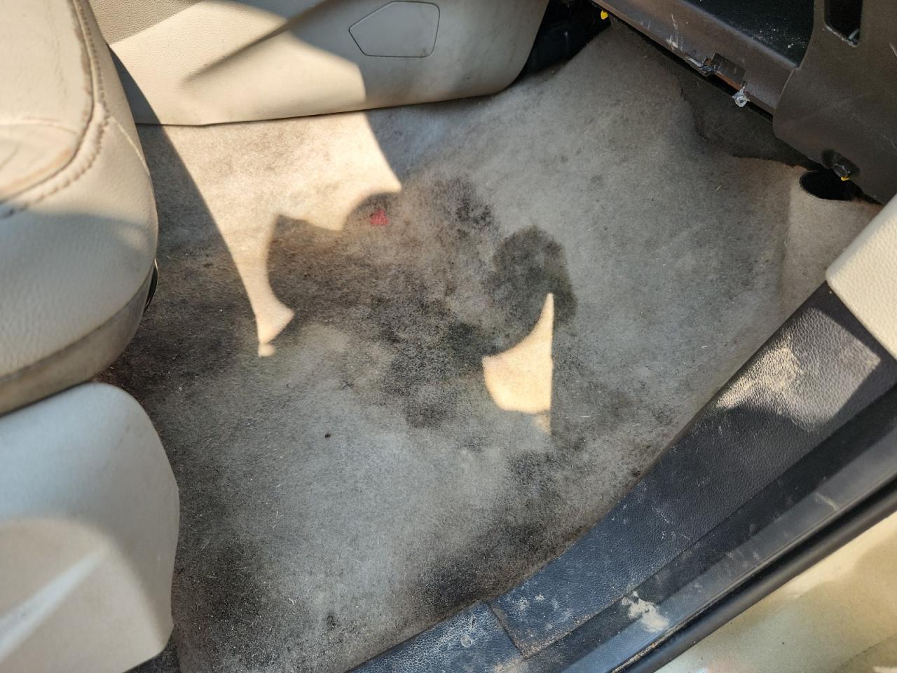 2013 Ford Escape Sel Green vin: 1FMCU0H93DUD31895 Damage: Right Front Carpet, Stained, Permanent