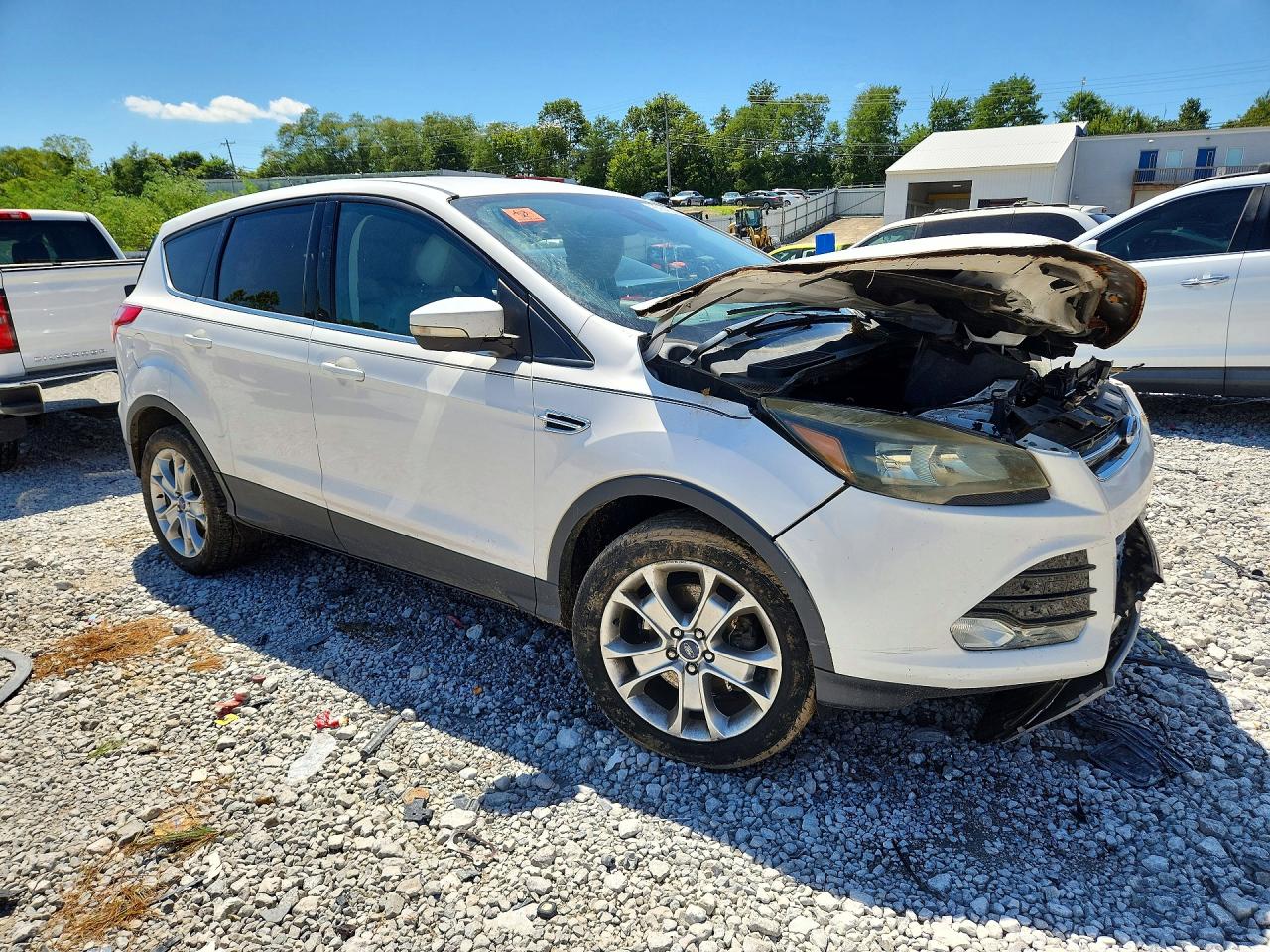 2013 Ford Escape Sel White vin: 1FMCU0H95DUB07379