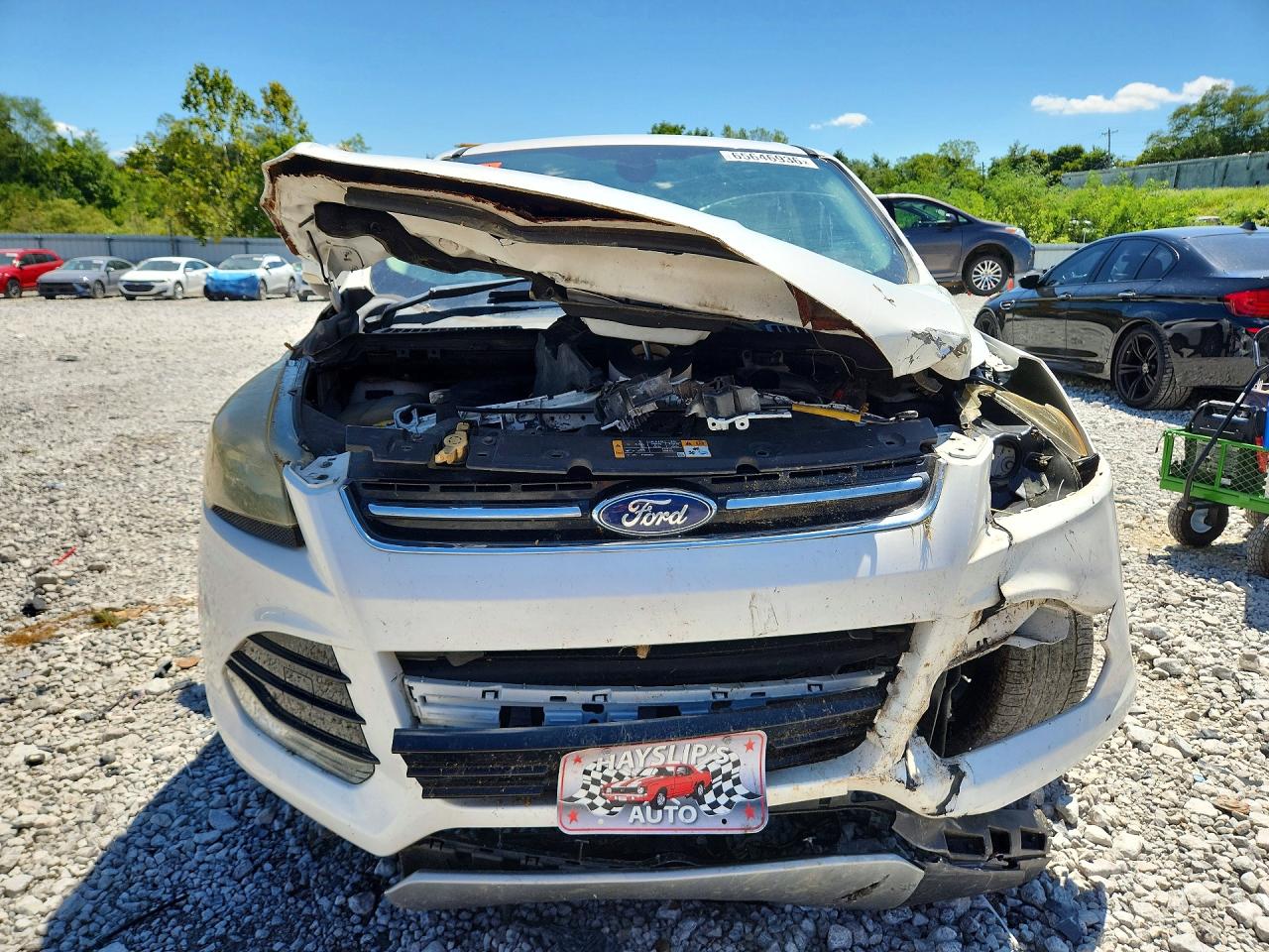 2013 Ford Escape Sel White vin: 1FMCU0H95DUB07379