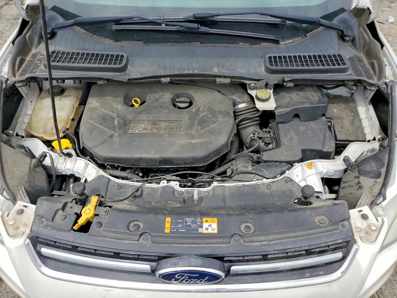 2013 Ford Escape Sel White vin: 1FMCU0H95DUB98590