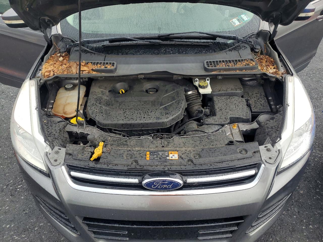 2013 Ford Escape Sel Gray vin: 1FMCU0H97DUD83997