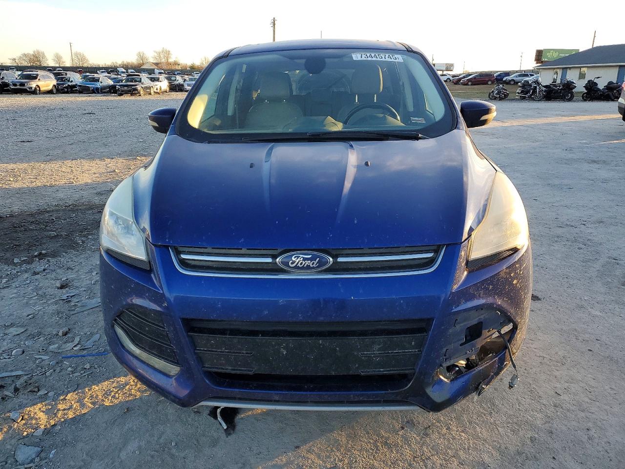 2013 Ford Escape Sel Blue vin: 1FMCU0H99DUC88261