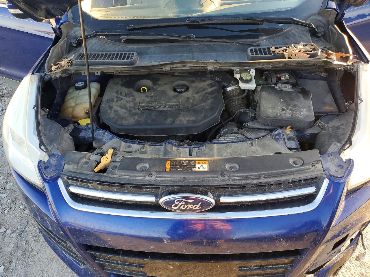 2013 Ford Escape Sel Blue vin: 1FMCU0H99DUC88261