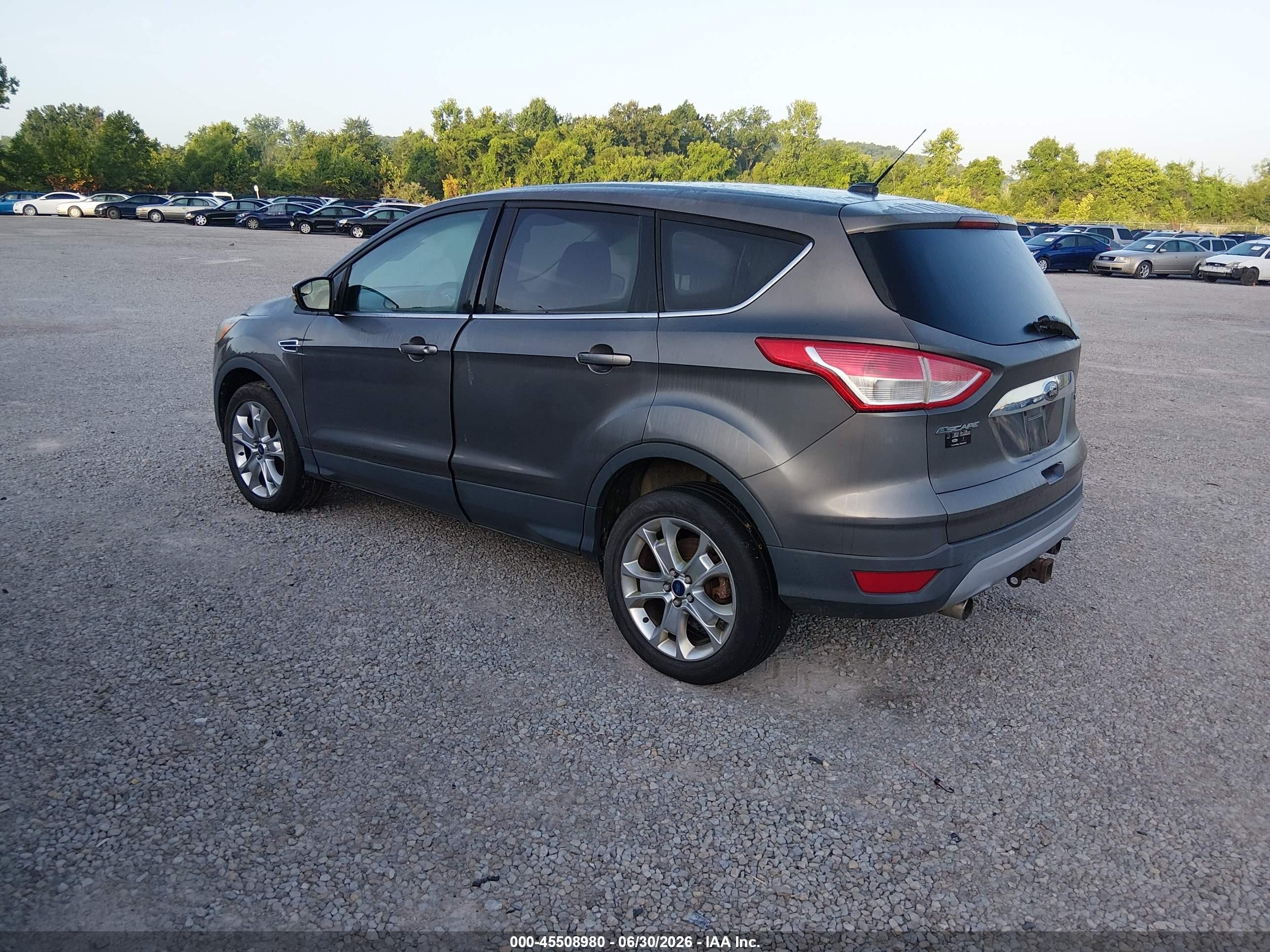 2013 Ford Escape Sel Gray vin: 1FMCU0H99DUD35515
