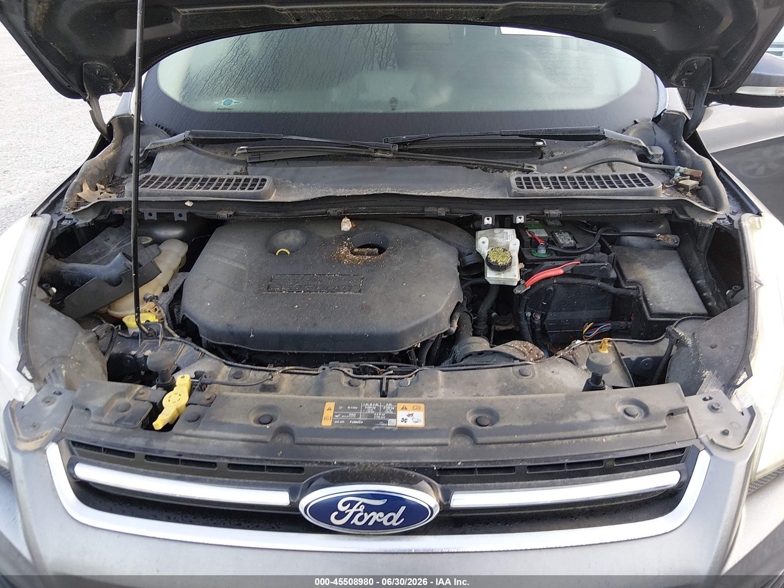 2013 Ford Escape Sel Gray vin: 1FMCU0H99DUD35515