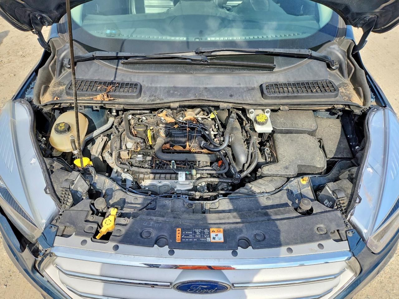2019 Ford Escape Sel Blue vin: 1FMCU0HD1KUB20373