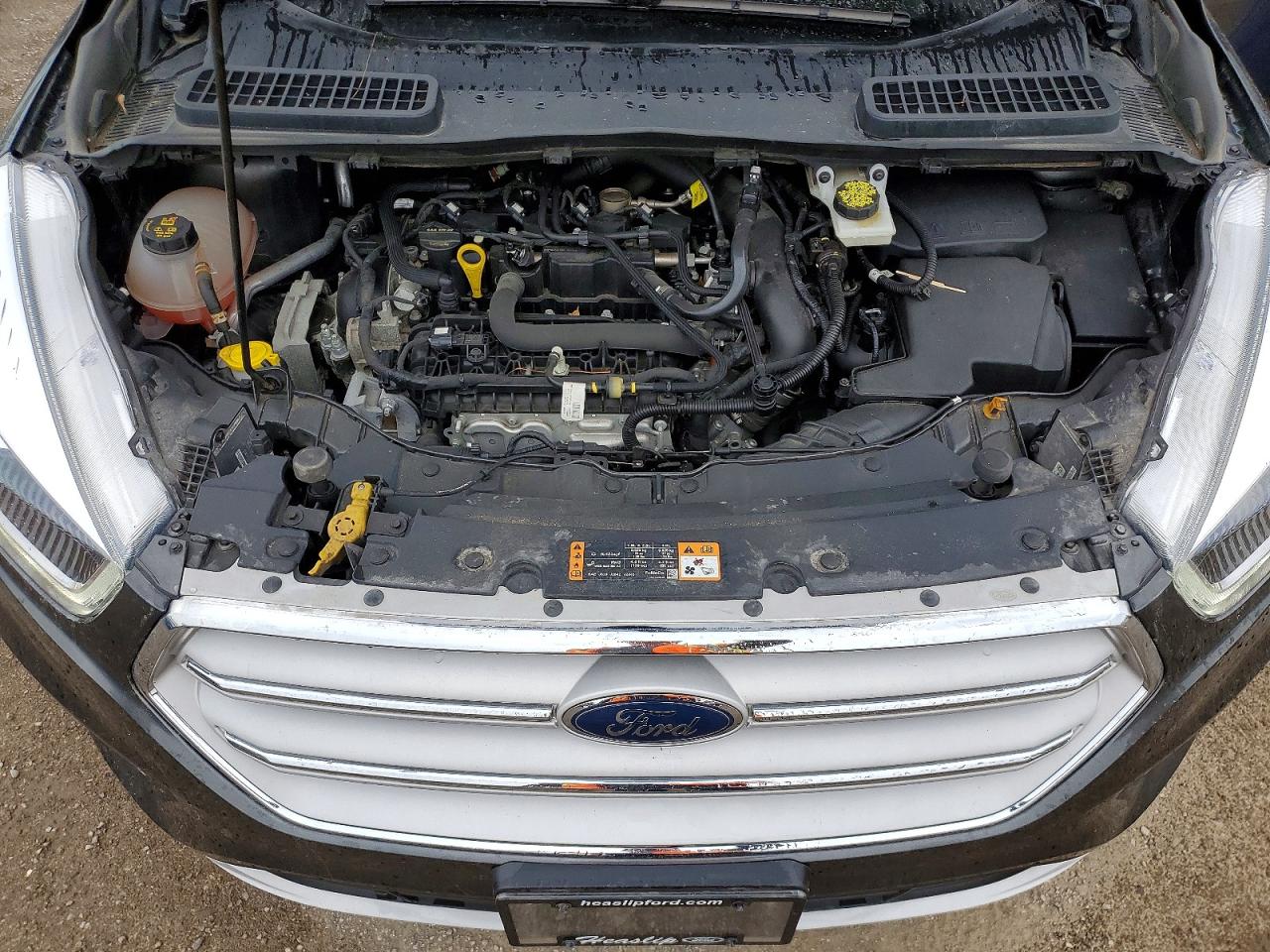 2019 Ford Escape Sel Gray vin: 1FMCU0HD2KUB70943