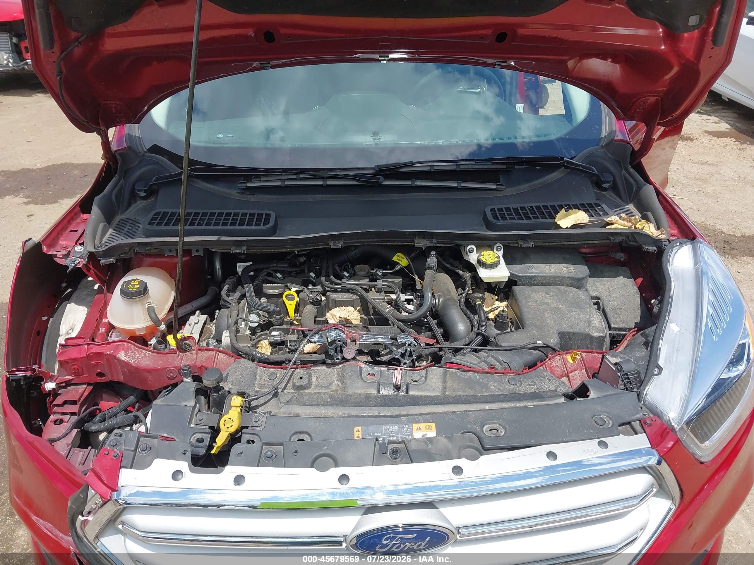 2019 Ford Escape Sel Red vin: 1FMCU0HDXKUB96674