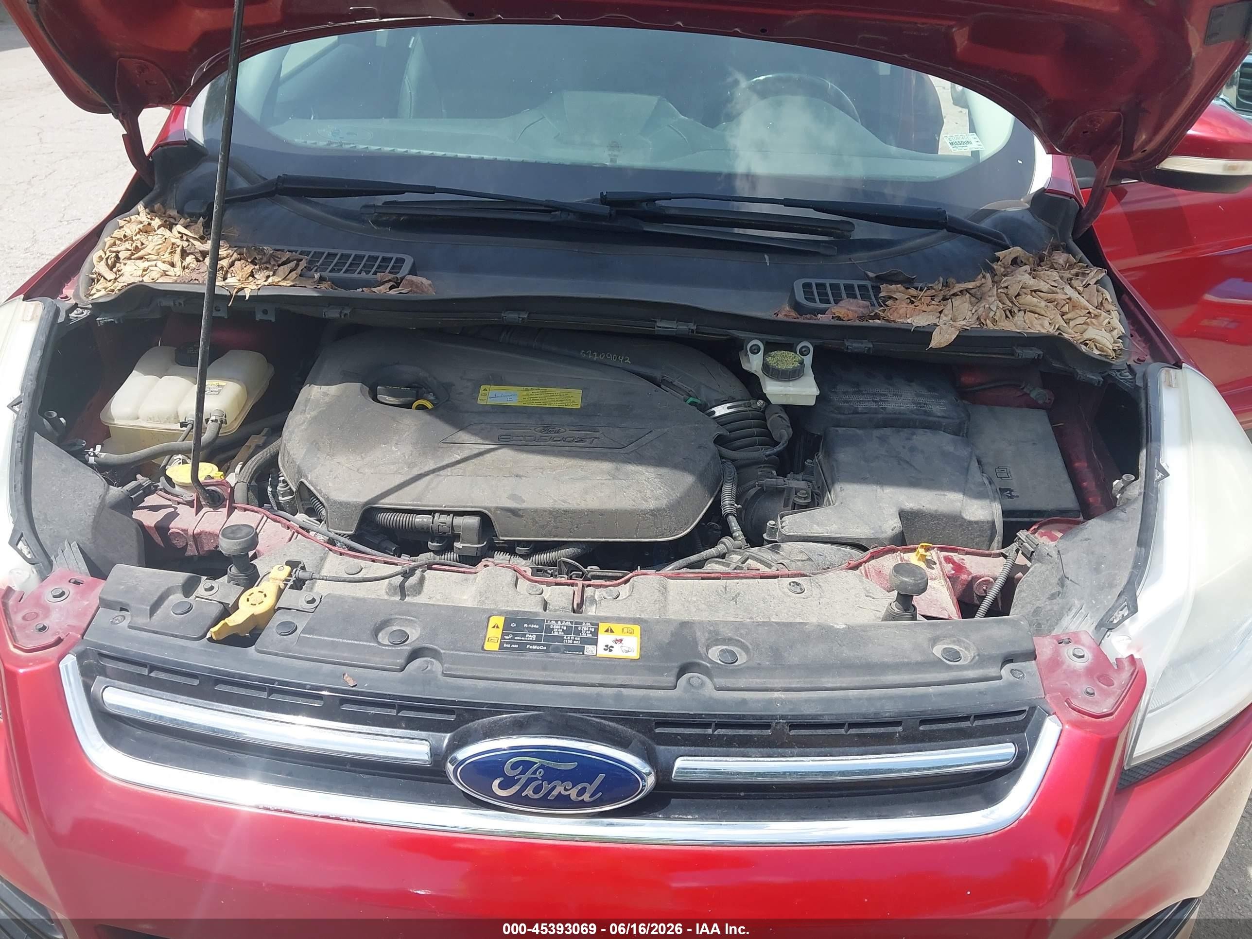 2013 Ford Escape Sel Красный vin: 1FMCU0HX2DUA55188