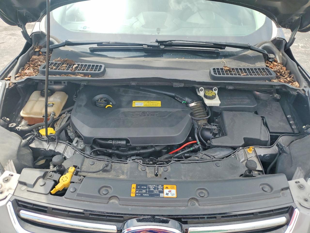 2013 Ford Escape Sel Gray vin: 1FMCU0HX2DUC99259