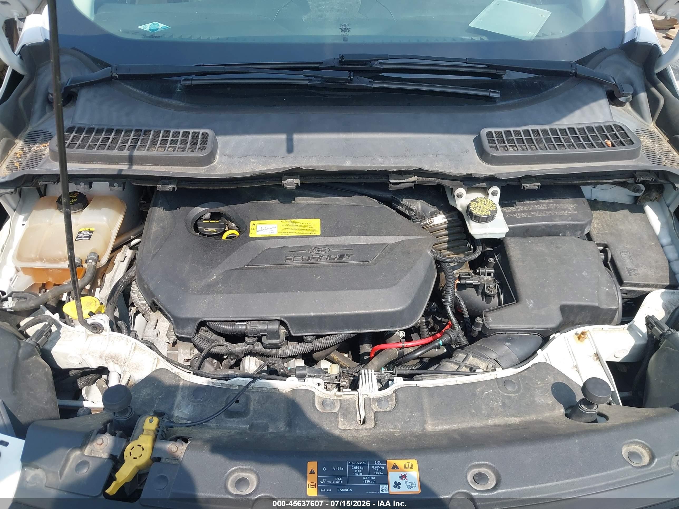 2013 Ford Escape Sel White vin: 1FMCU0HX2DUD00085
