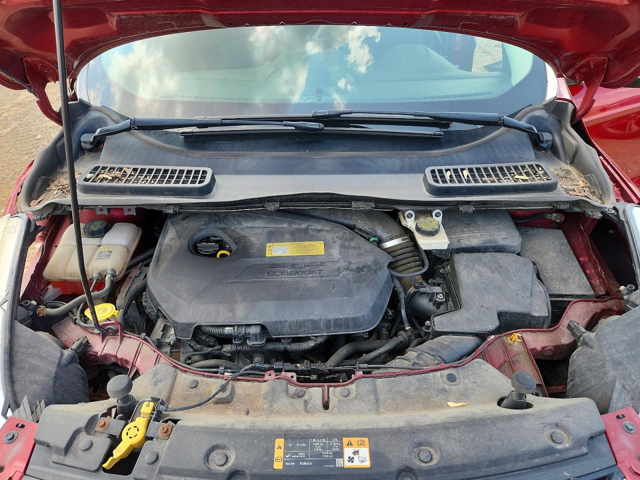 2013 Ford Escape Sel Red vin: 1FMCU0HX2DUD67740