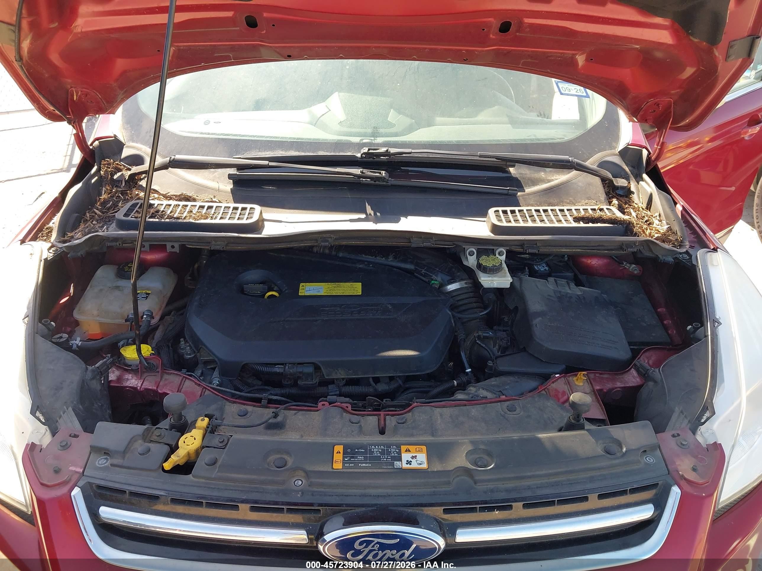 2013 Ford Escape Sel Красный vin: 1FMCU0HX3DUA81072