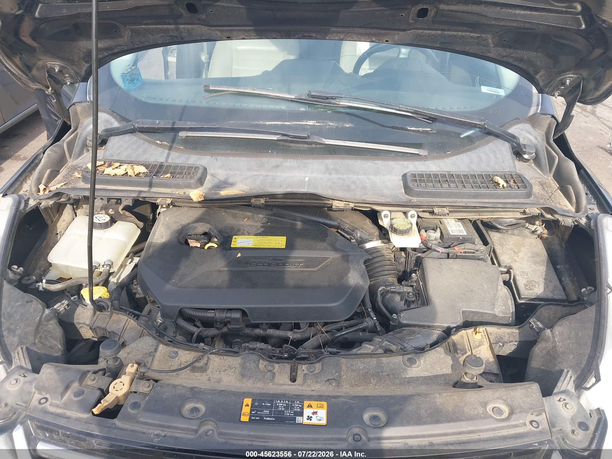 2013 Ford Escape Sel Black vin: 1FMCU0HX3DUB50911