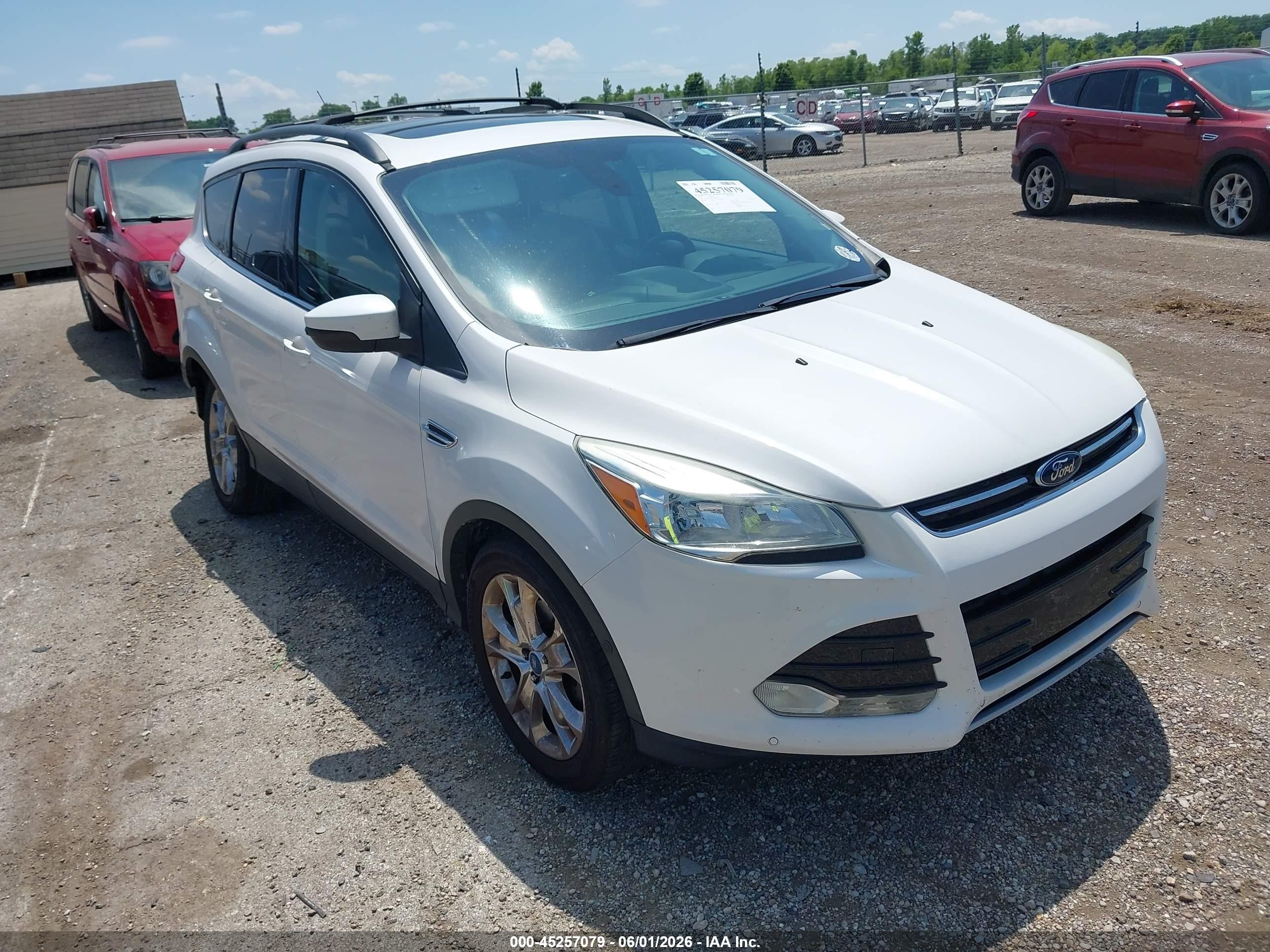 2013 Ford Escape Sel White vin: 1FMCU0HX4DUA00175