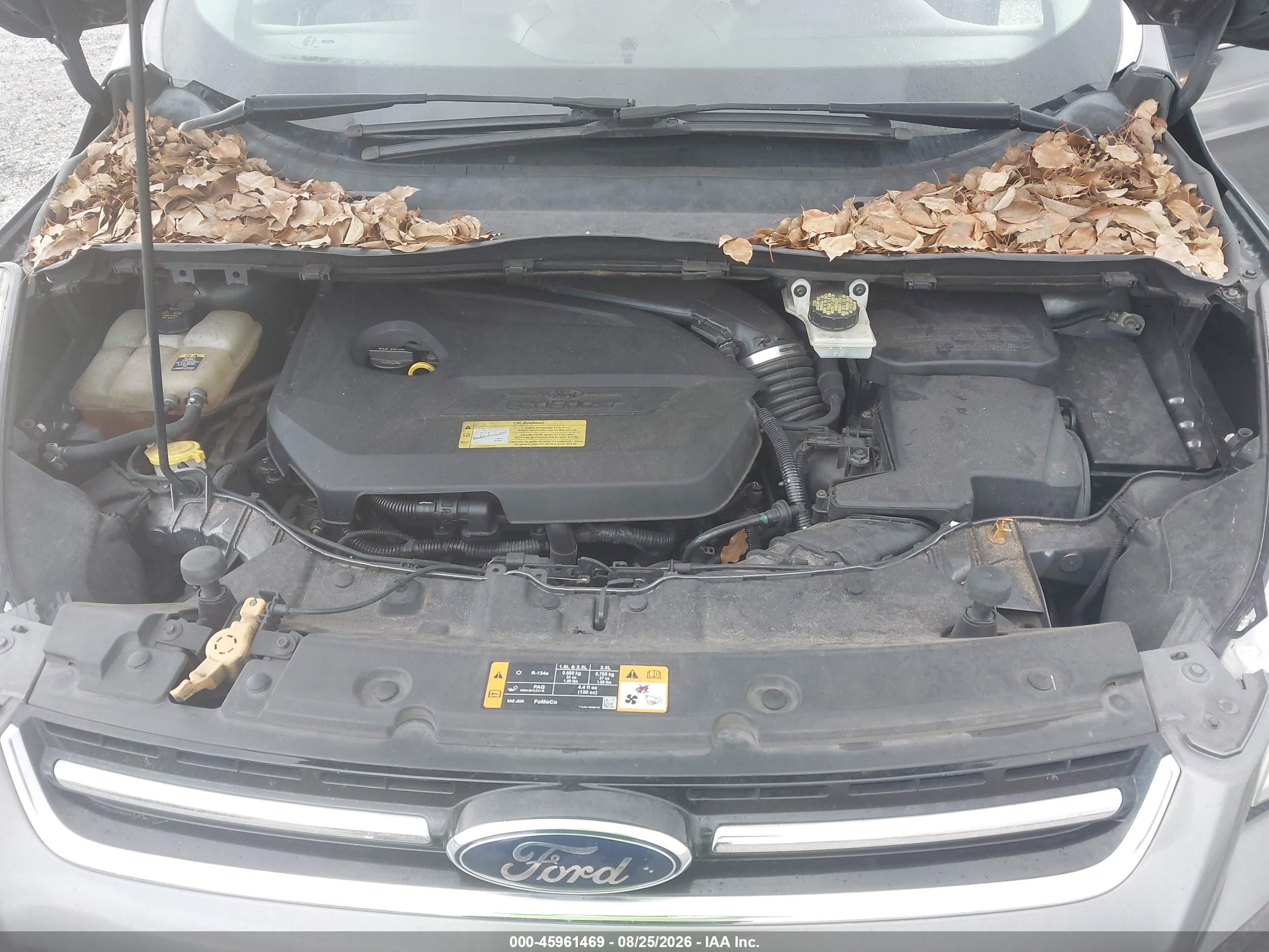 2013 Ford Escape Sel Gray vin: 1FMCU0HX5DUA97922