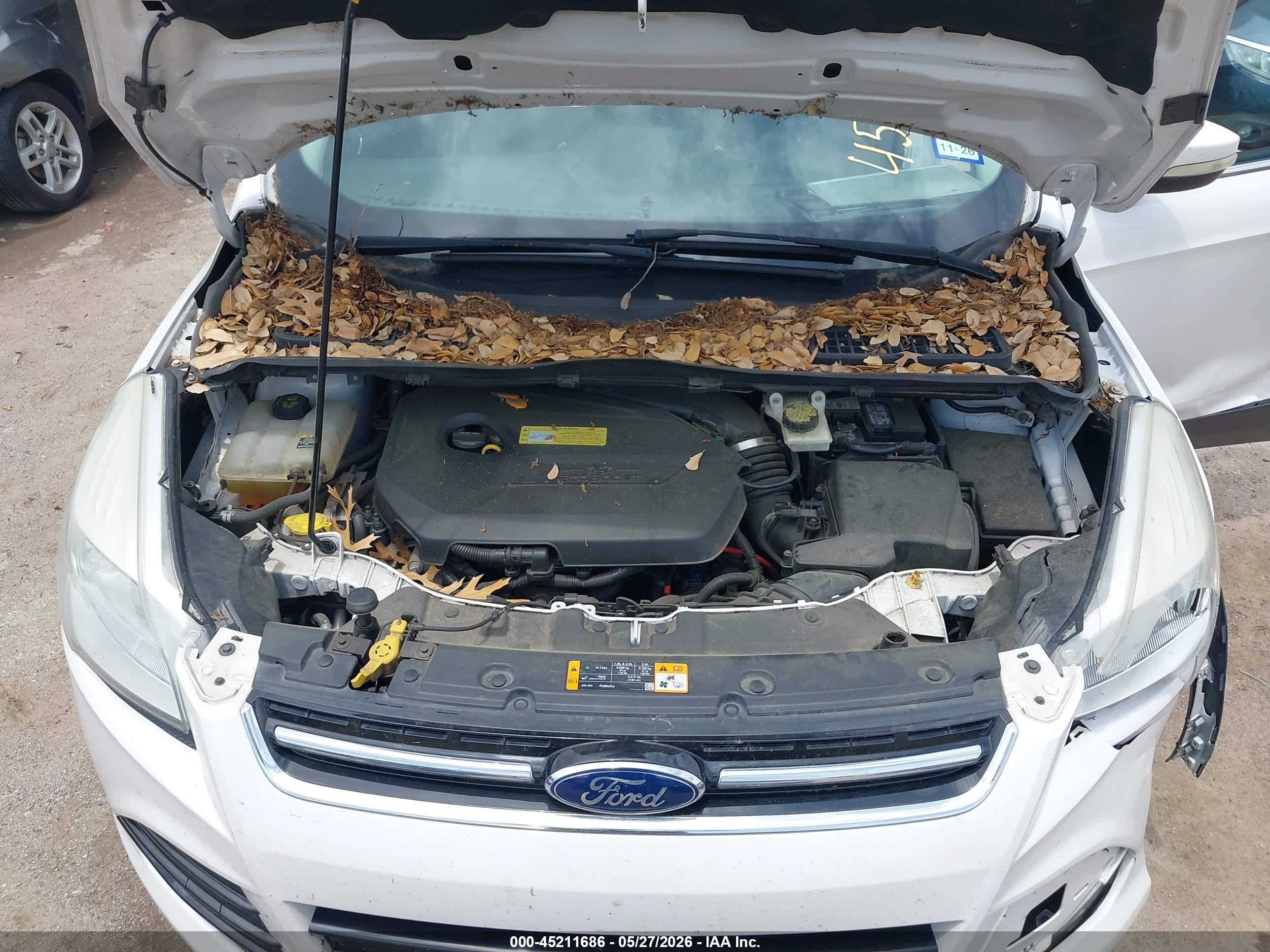 2013 Ford Escape Sel White vin: 1FMCU0HX6DUD68647