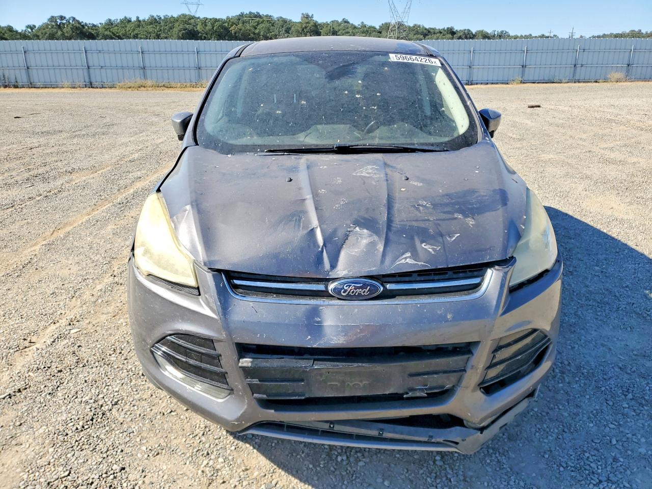 2013 Ford Escape Sel Gray vin: 1FMCU0HX7DUA81544