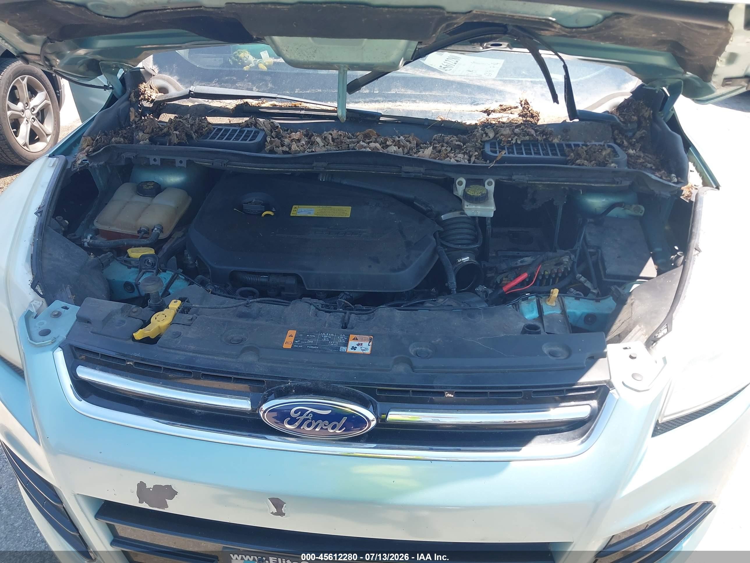 2013 Ford Escape Sel Бирюзовый vin: 1FMCU0HX8DUD23516