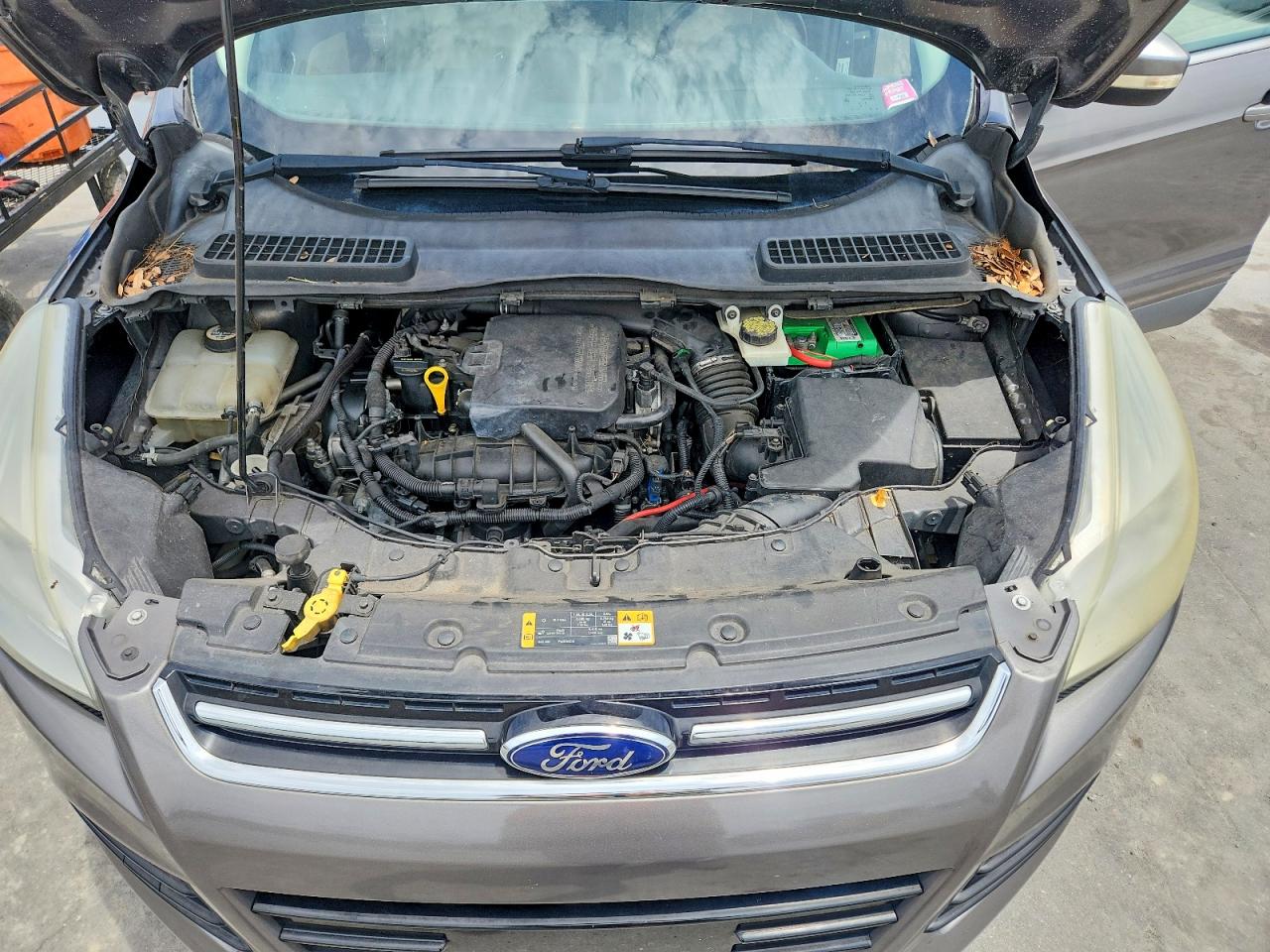 2013 Ford Escape Sel Gray vin: 1FMCU0HX8DUD49128