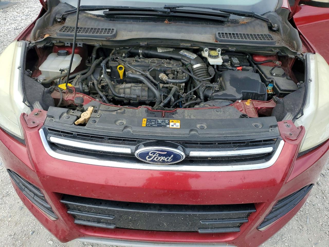 2013 Ford Escape Sel Red vin: 1FMCU0HX9DUB07707