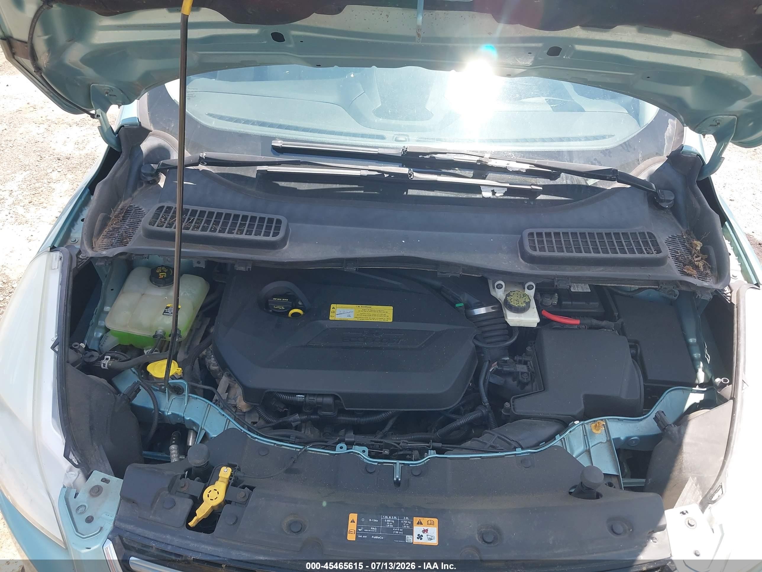 2013 Ford Escape Sel Green vin: 1FMCU0HXXDUB78754
