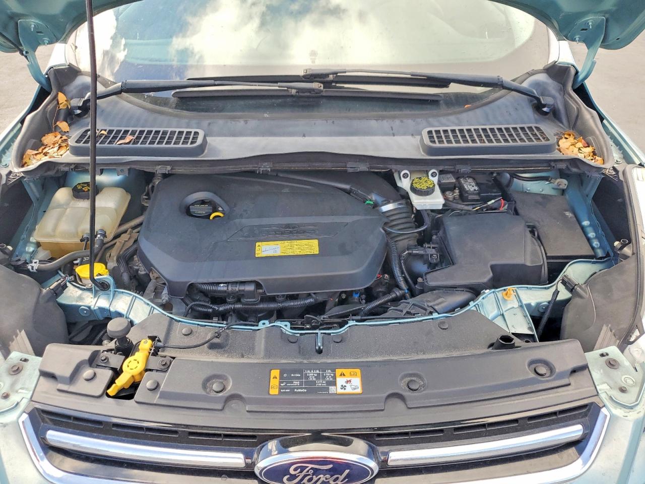 2013 Ford Escape Sel Green vin: 1FMCU0HXXDUD37837
