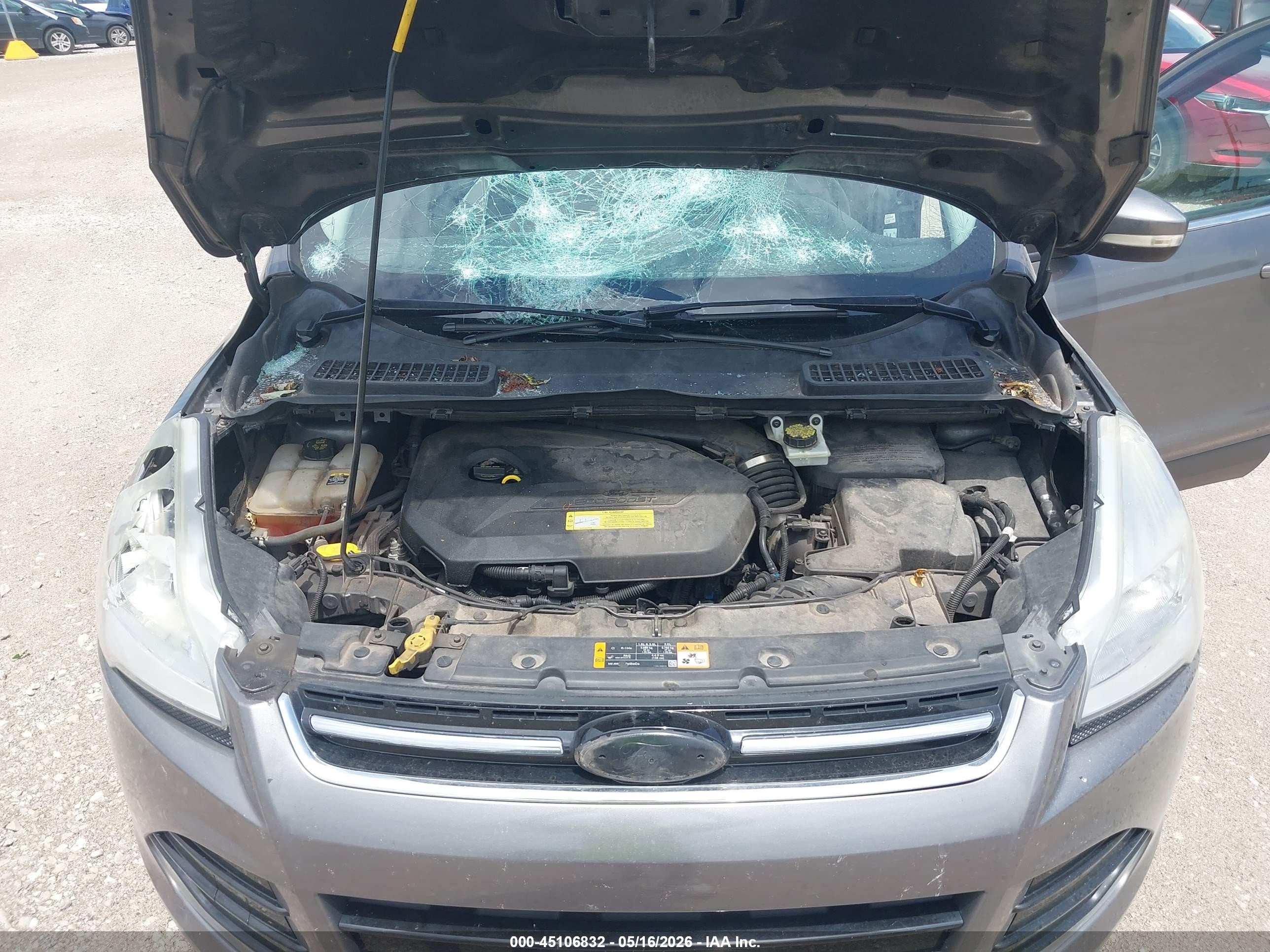 2013 Ford Escape Sel Gray vin: 1FMCU0HXXDUD54279