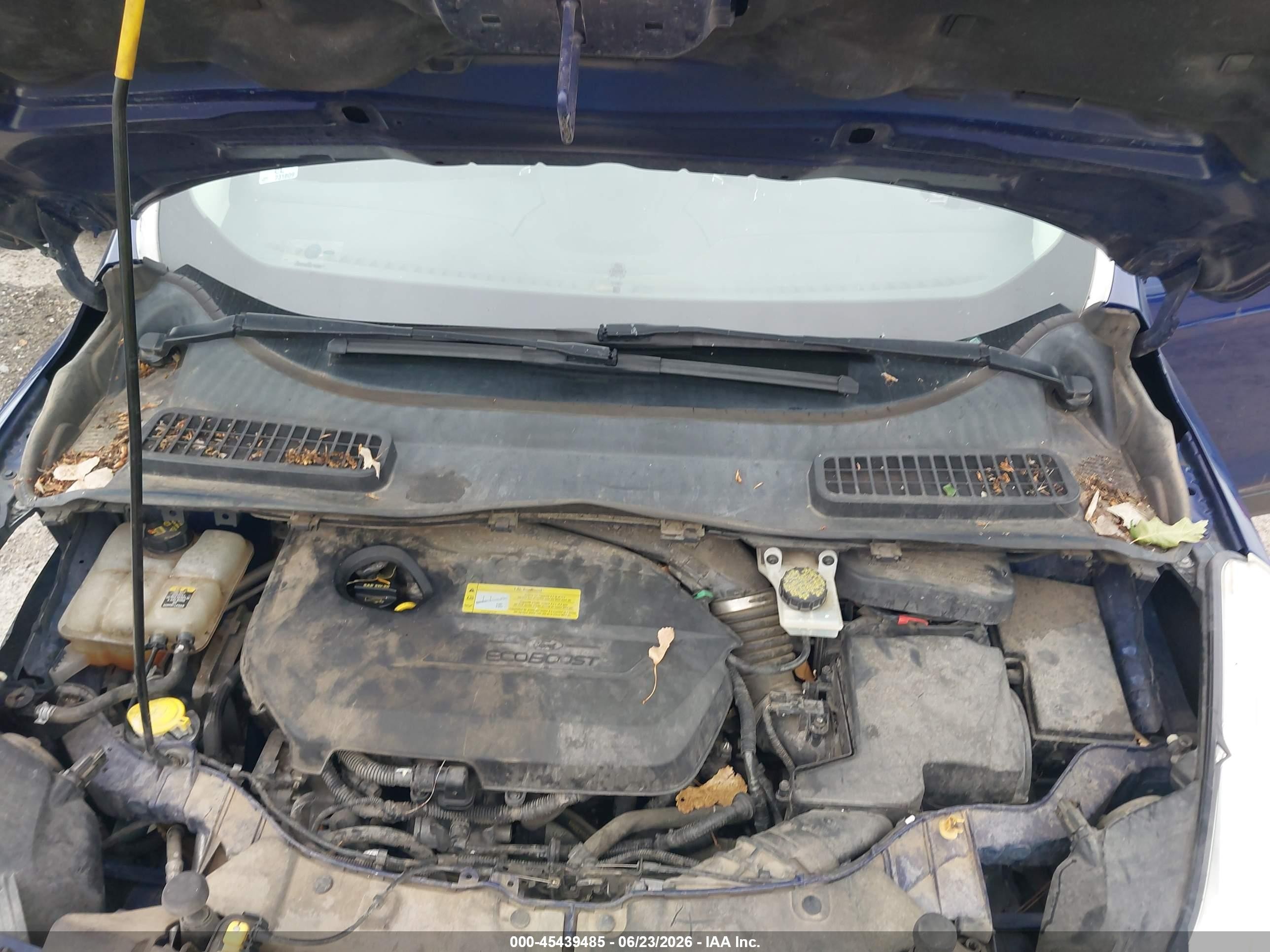 2013 Ford Escape Sel Blue vin: 1FMCU0HXXDUD67498