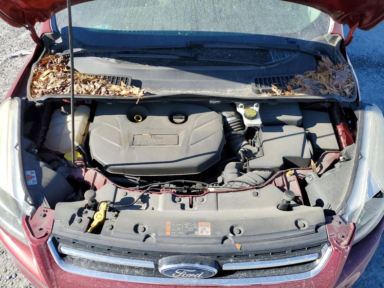 2015 Ford Escape Titanium Red vin: 1FMCU0J90FUC01103
